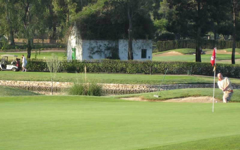 mijas golf club - los olivos